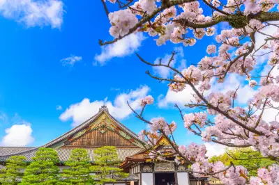 二之丸庭園(二條城內)