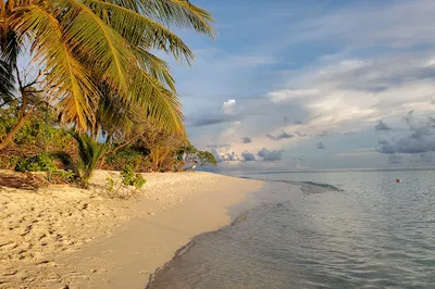 Thoddu Beach