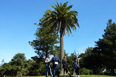 Sutro Heights