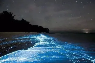 追淚----藍眼淚