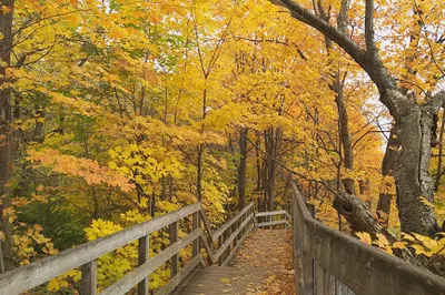 Chauveau Park