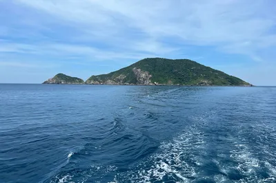 Blue Coral Diving