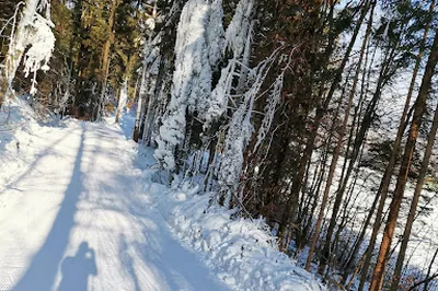 NORDIJSKI CENTER BONOVEC