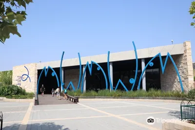 Israel Aquarium