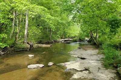 Beaman Park