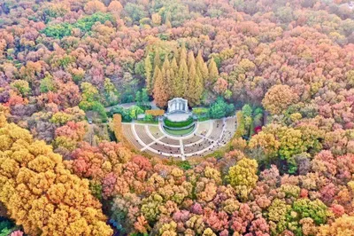 南京賞秋好時節，走進紫金山東麓的「貴族莊園」，開啟奢華之旅