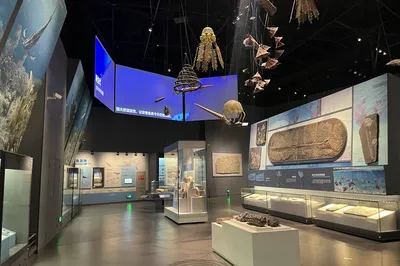 Chengdu Natural History Museum - Origin of Life Exhibition Hall
