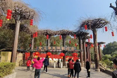 In the north there is the Terracotta Warriors, in the south there is Xiongjia Zhong — the Chu King's Chariot Array is magnificent, unique in China, and number one under heaven