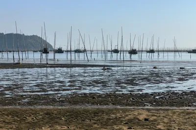 Xiapu (Miscellaneous Notes of a 26-Day Trip in Fujian and Guangdong, Part 7)