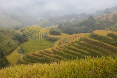 Must-Visit Attractions in Longji Rice Terraces, Guilin (Top Picks for Family and Cultural Travel)