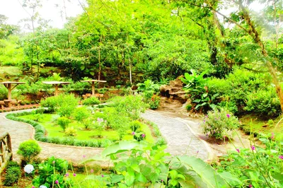 Lankester Botanical Garden