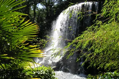 Iveagh Gardens