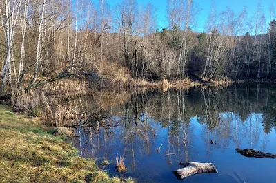 Arboretum