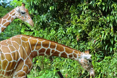 Colombo Dehiwala Zoological Gardens