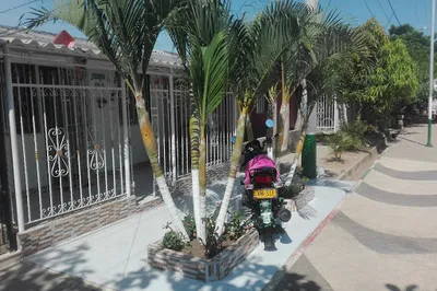 Biosaludable - Simon Bolivar Park