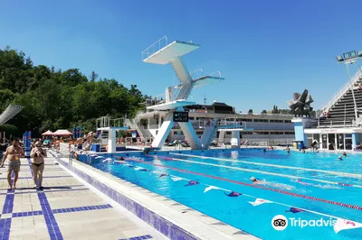 Swimming Stadium Podolí