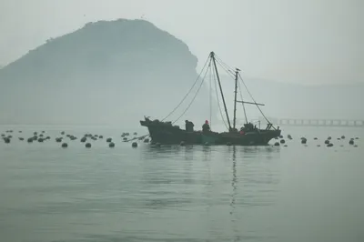 大連海島哪個好玩？這個小島沙灘最細膩，超大趕海基地隨便撿！