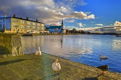 Tjörnin
