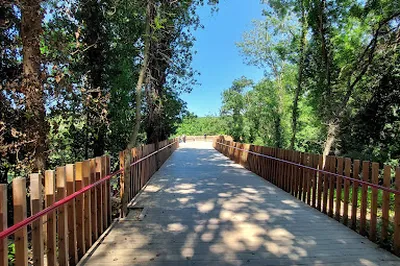 Ataturk Urban Forest