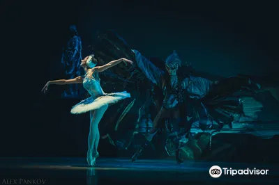 Ballet Performances in Moscow
