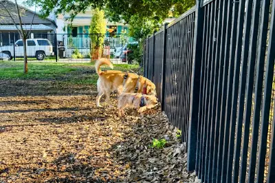 Wisner Dog Park