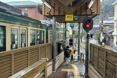 冬季之東京野趣