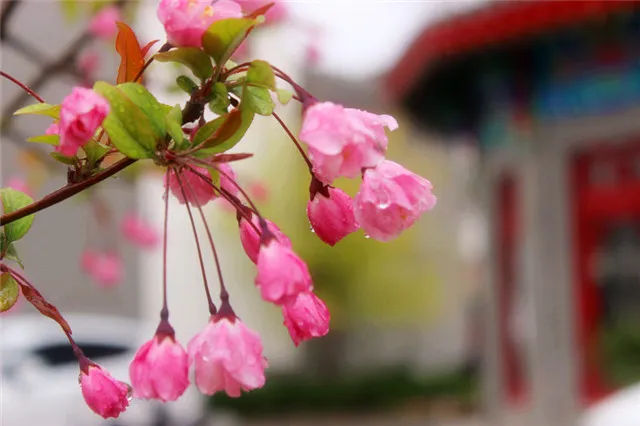 雨中古城，“雨”你共赏