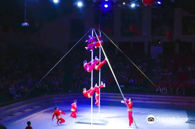 濟州馬戲團世界