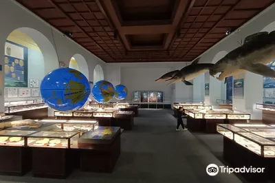 Museum of Evolution