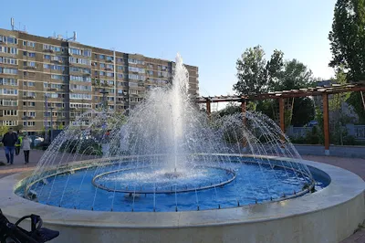 Timișoara Park