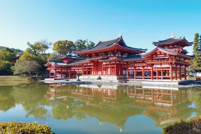 A Leisurely 8-Day Tour of Osaka, Kyoto, Nara, and Uji in Kansai
