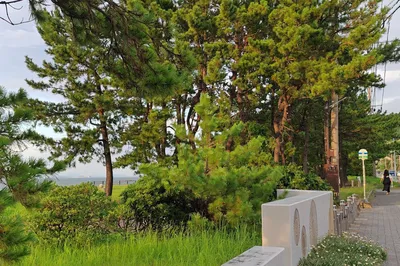 Nagatare Seaside Park