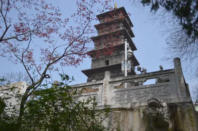 南京人看南京——九華山公園