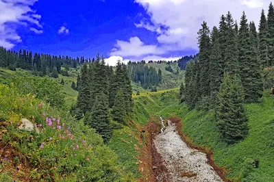 Healthy Trekking Way Almaty