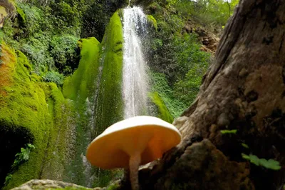Trekking Hellas Rafting Base