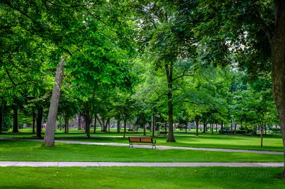 Notre Dame de Grace Park