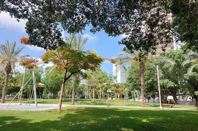 Galit Park