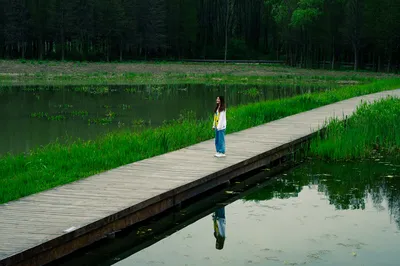 Searching for Wetland Deer, Exploring the World's Boat Festival, Visiting Qintong Ancient Town