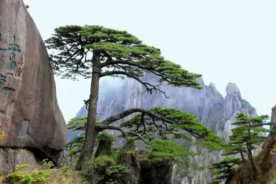 婺源、黄山自驾行