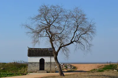 石臼湖的冬季（3）——湖畔諸家村
