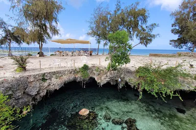 Salaam Cave Aquarium