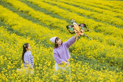 春田花花遊園會 | 與武漢花博彙的甜蜜邂逅