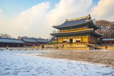 國立古宮博物館