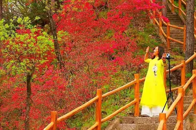 洛陽旅遊攻略 醉美西泰山風景酒店~邀您來共賞杜鵑花