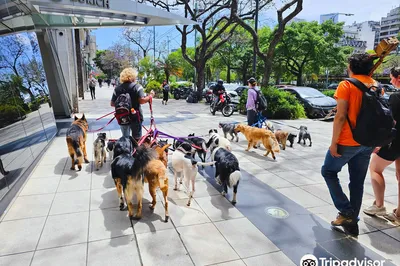 Buenos Aires Free Walks