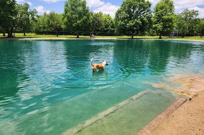 Millie Bush Dog Park