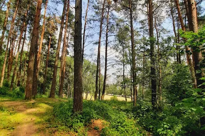 Viršuliškės Forest Park