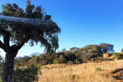 Klipriviersberg Municipal Nature Reserve
