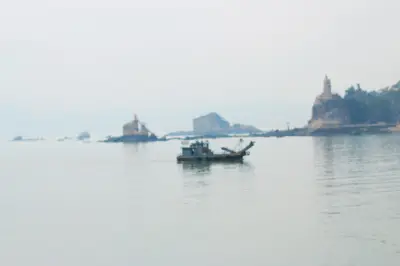 单车环游中国第11集：厦门有一种鱼，实行一夫多妻制：老公死了，最强壮的雌鱼就会进化成新丈