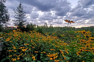 Park of the Montagne des Roches